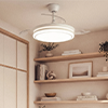 Ventiladores de Techo