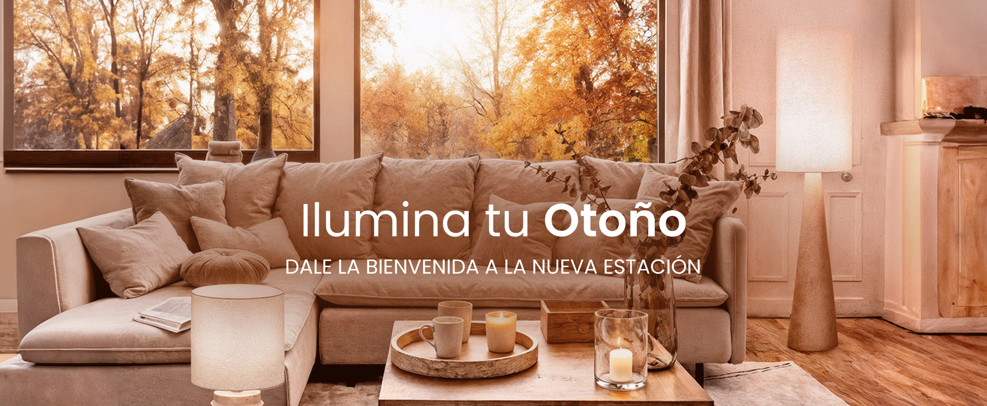 Catálogo Decoración