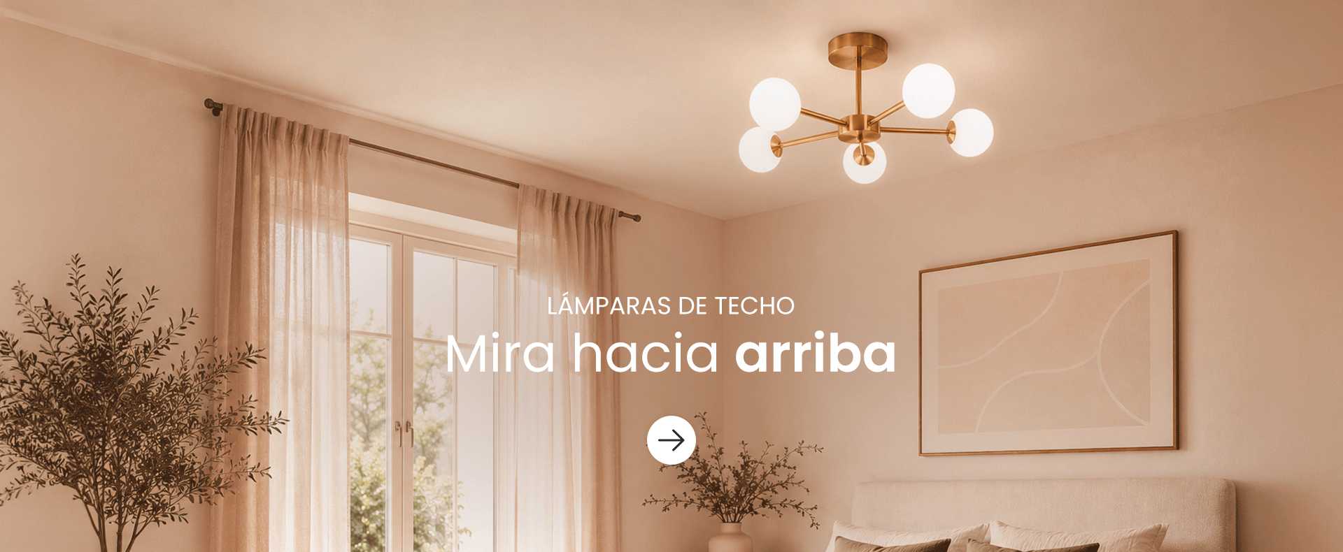Lámparas de Techo