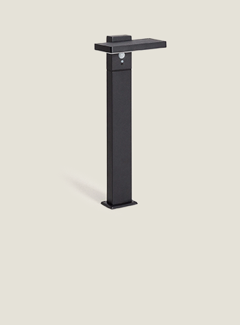 Imagem da coleção Bran