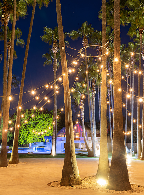 Grinaldas para o Exterior Grinaldas para o Exterior